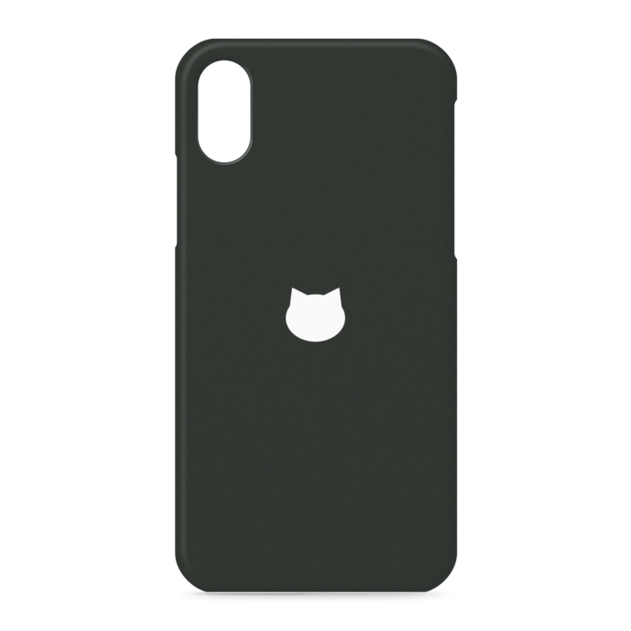 iPhone XS / X