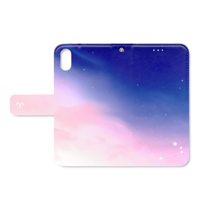 iPhone XS / X