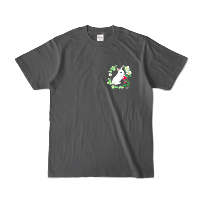 カラーTシャツ - S - チャコール (濃色)