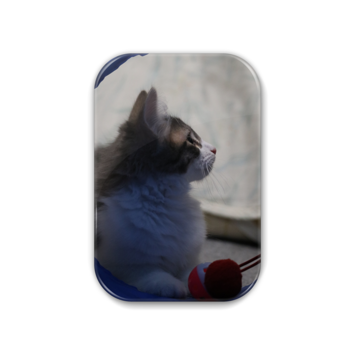 缶バッジ - 角丸 51x76mm