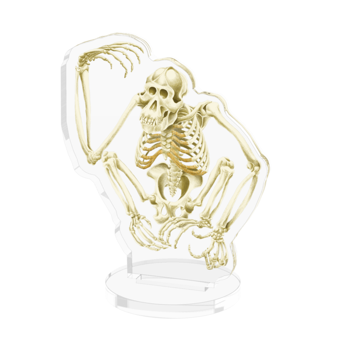 アクリルフィギュア - 50x50mm