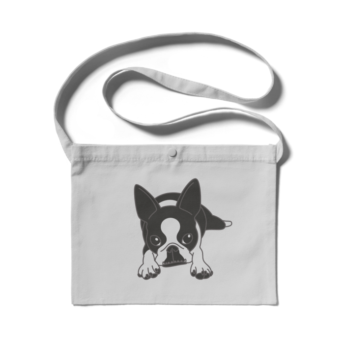 サコッシュ - 300 x 230 (mm)