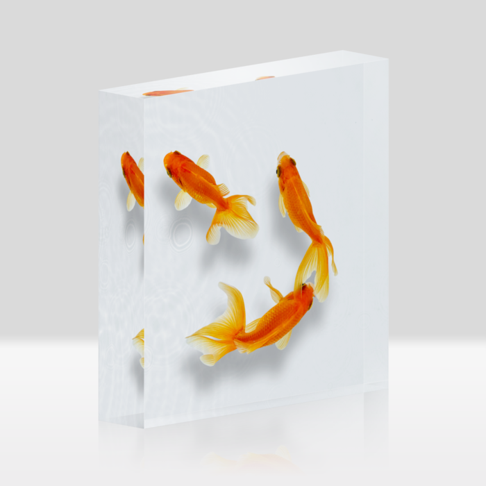 泳ぐ3匹の金魚 - ミタカ - BOOTH