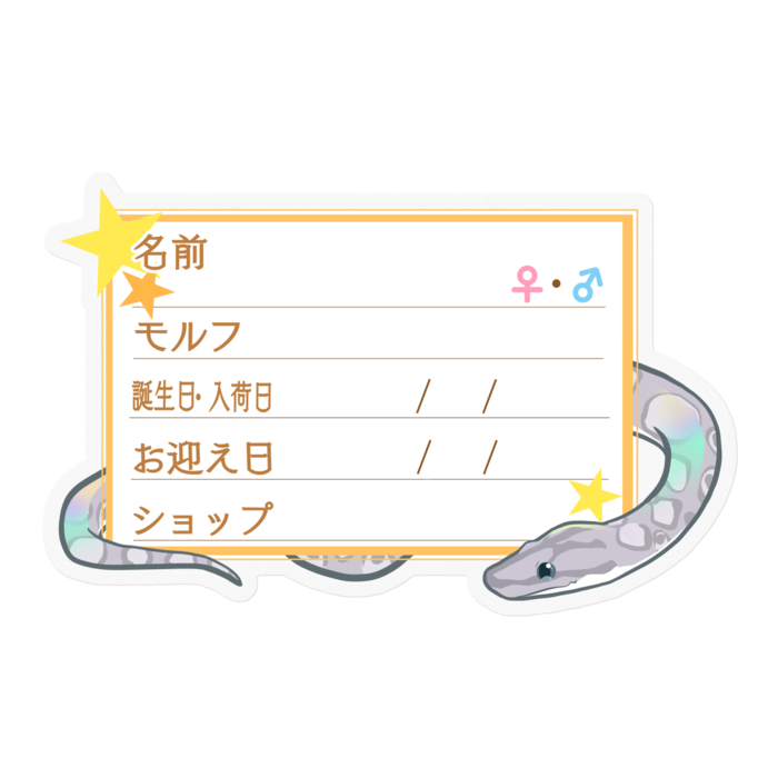 【🐍お名前ステッカー】コロニジ(アザン) ‐星