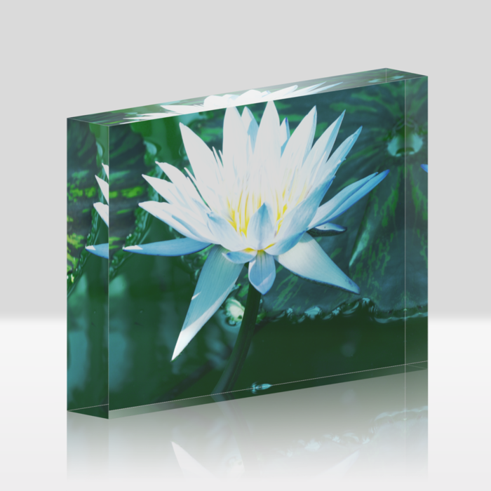 アクリルブロック - 148x100mm