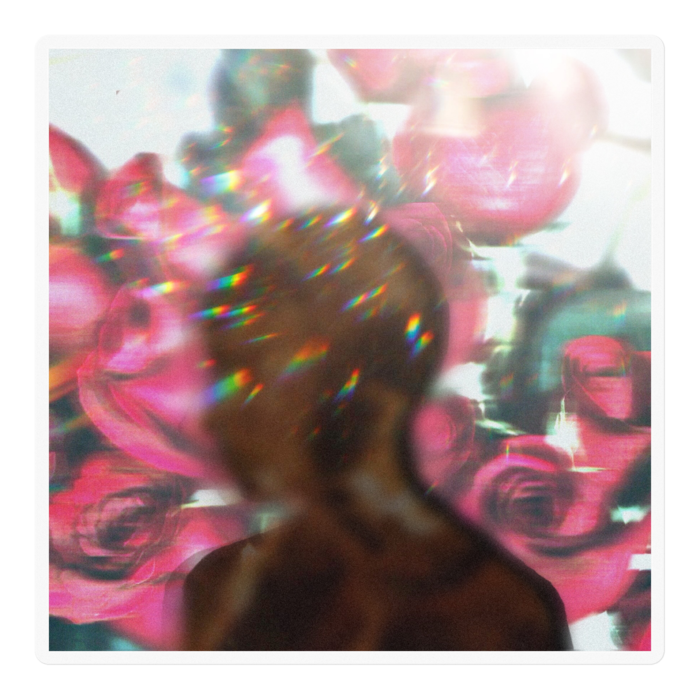 ステッカー - 100 x 100 (mm)