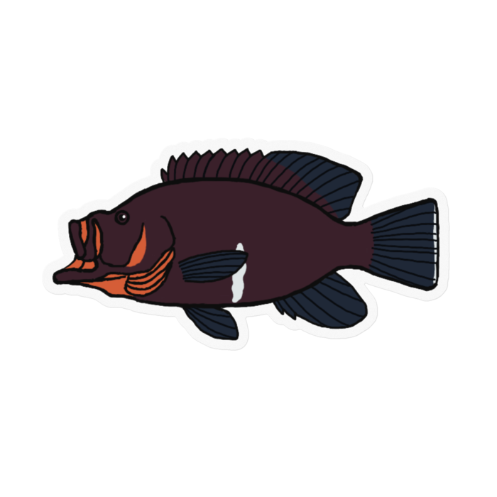 ステッカー - 100 x 100 (mm)