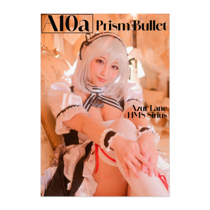 ポスター - A1