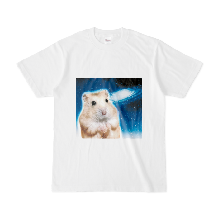 Tシャツ - S - 白