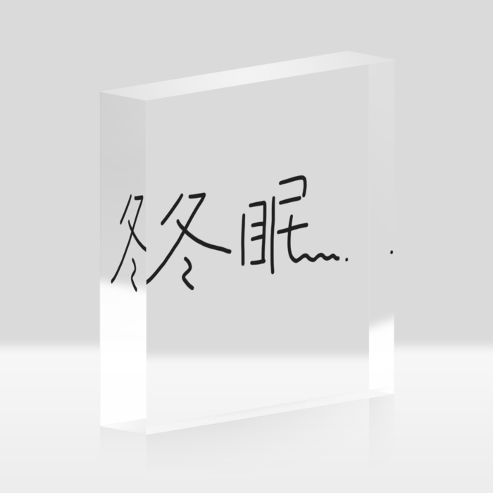 アクリルブロック - 100x100mm