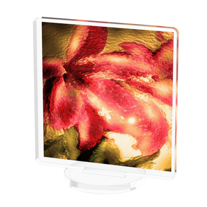 アクリルフィギュア - 50x50mm