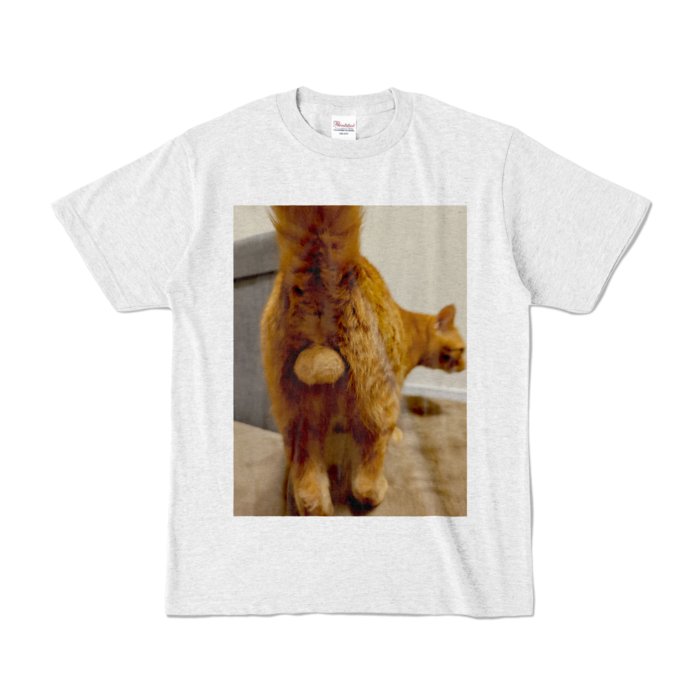 カラーTシャツ - S - アッシュ (淡色)