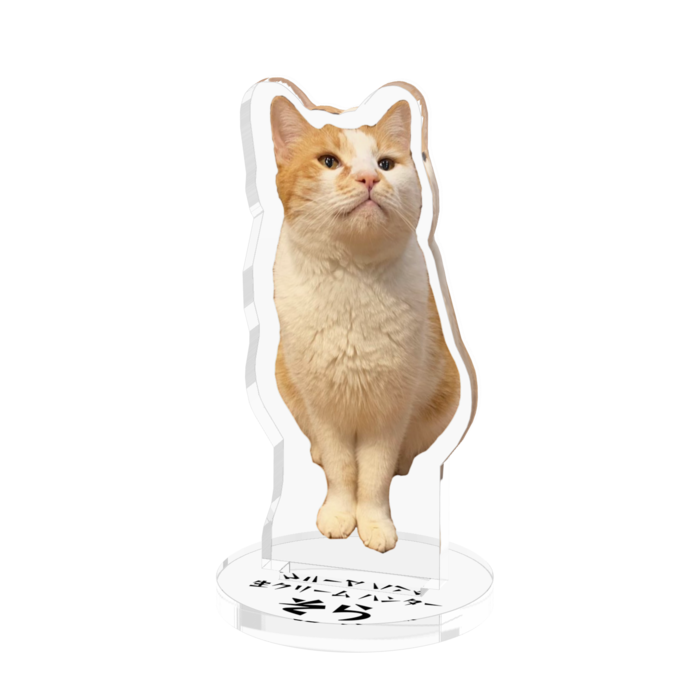 アクリルフィギュア - 50x50mm