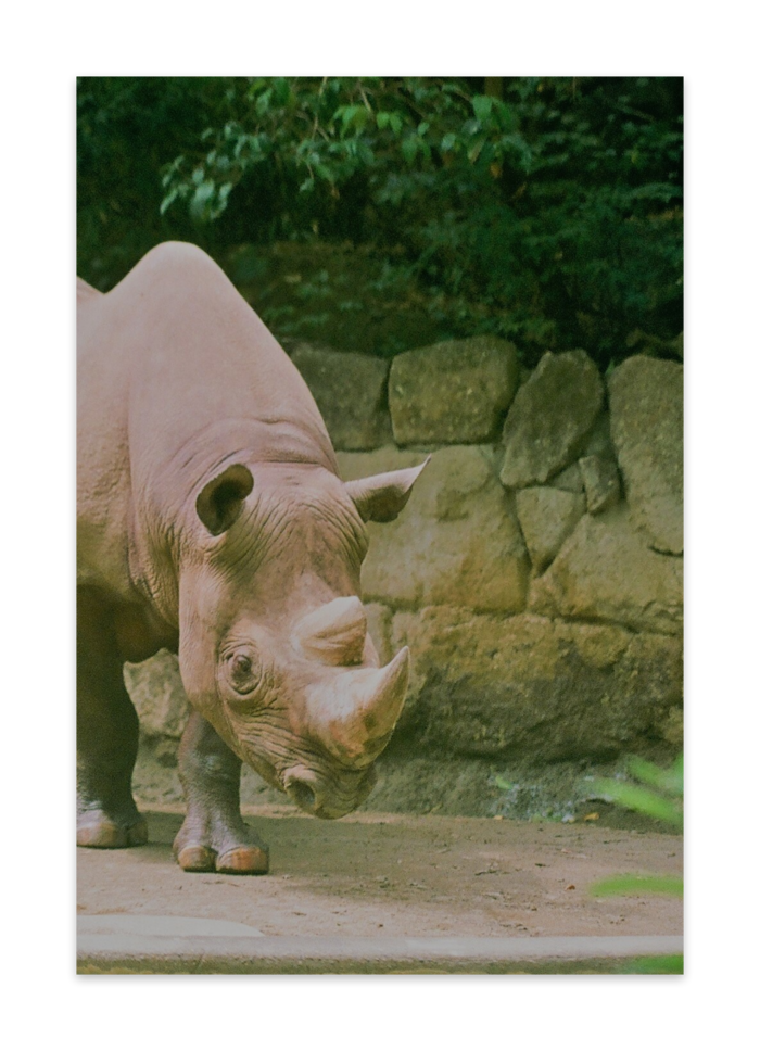 ポストカード(10枚セット) - マットコート220kg