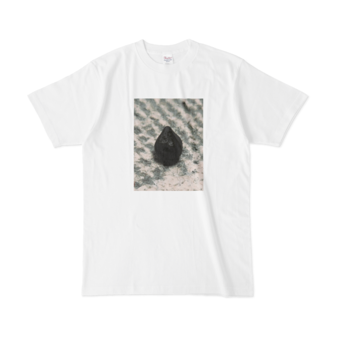 Tシャツ - L - 白