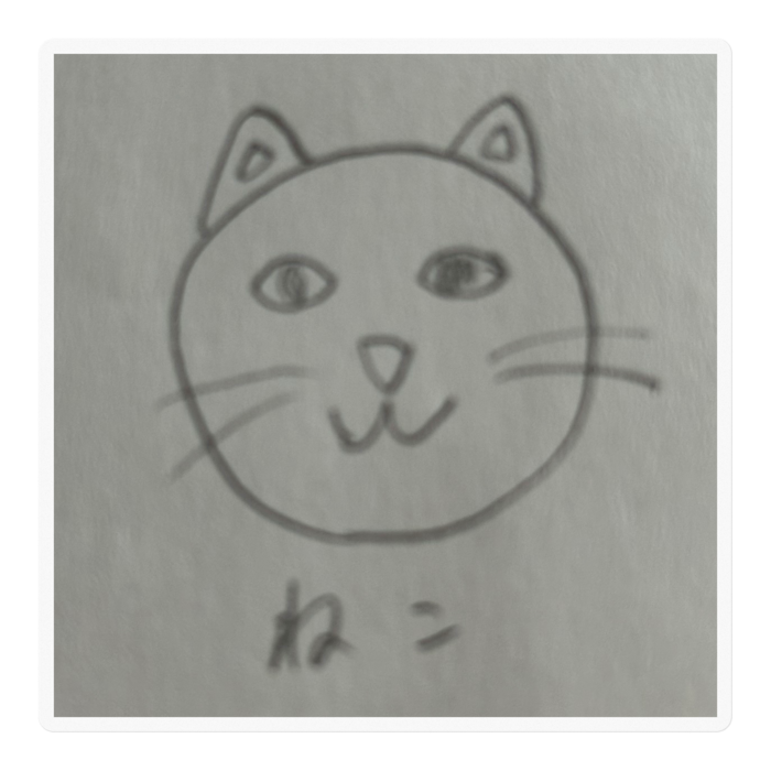 ステッカー - 100 x 100 (mm)