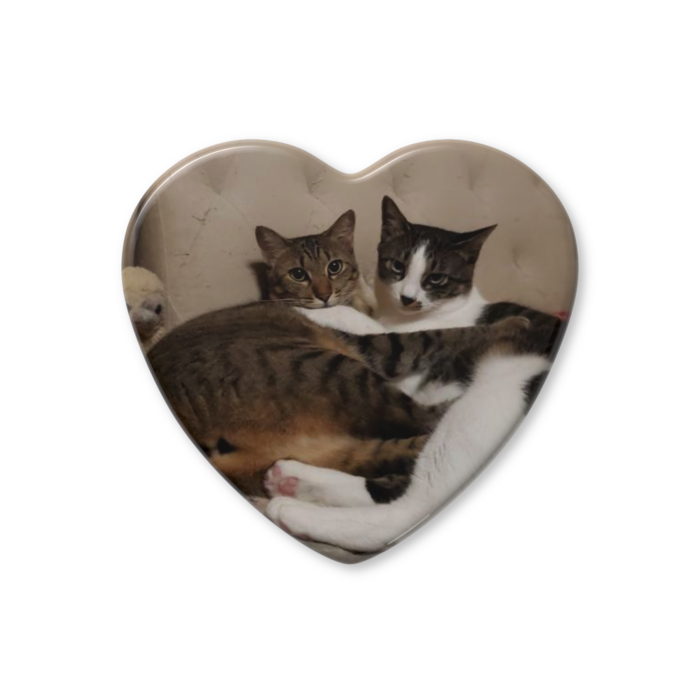 ハート缶バッジ - 57 × 52.5mm