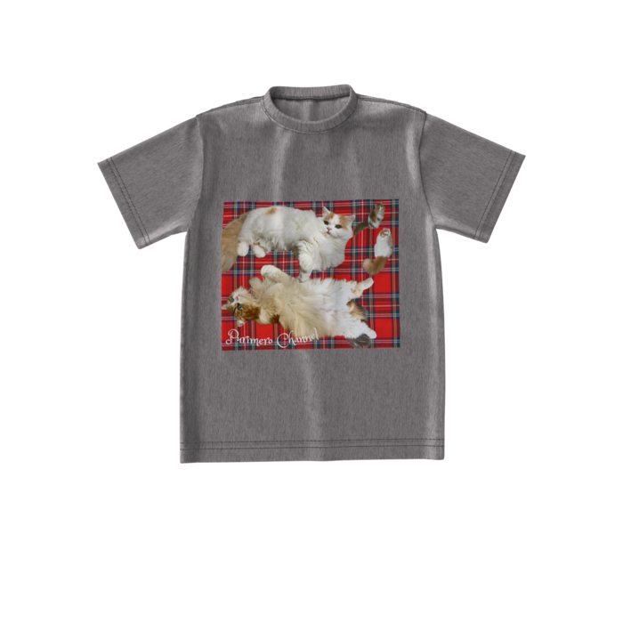 ビッグシルエットTシャツ - S - 両面(2)