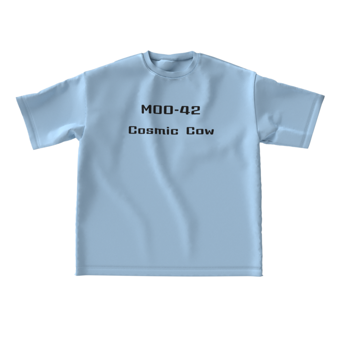 ビッグシルエットTシャツ - L - 両面(1)