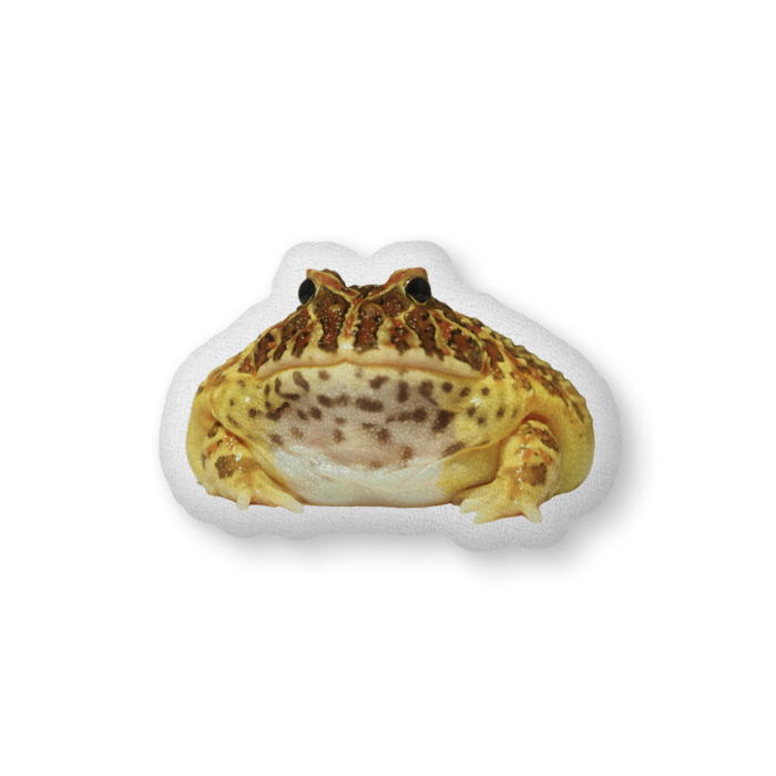 ふかふかクッション - 中（H36×W56cm） - 片面