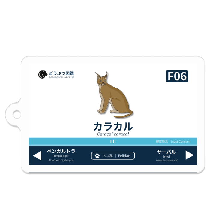 カラカル