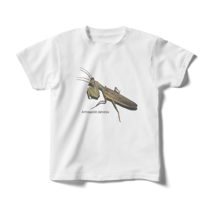 キッズTシャツ - 140cm - 正面