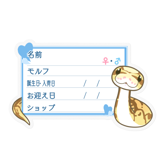 【🐍お名前ステッカー】ボールパイソン(クイーンビーミニ) ‐ハート／ブルー