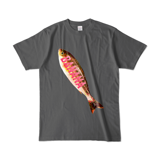 カラーTシャツ - L - チャコール (濃色)