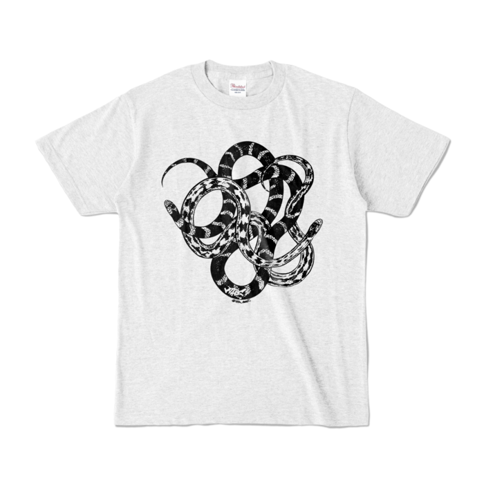 カラーTシャツ - S - アッシュ (淡色)