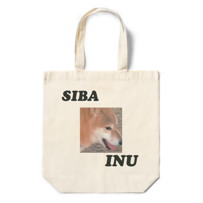 エコバッグ - 360×370×110(mm)