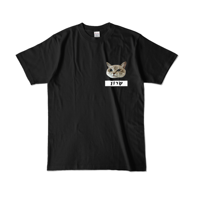 カラーTシャツ - L - ブラック (濃色)
