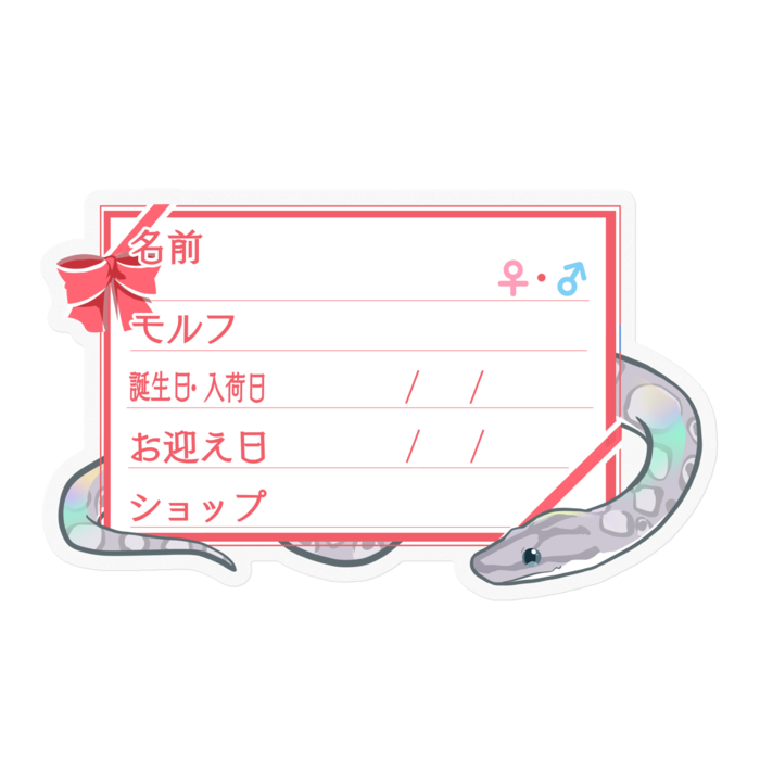 【🐍お名前ステッカー】コロニジ(アザン) ‐リボン／ピンク