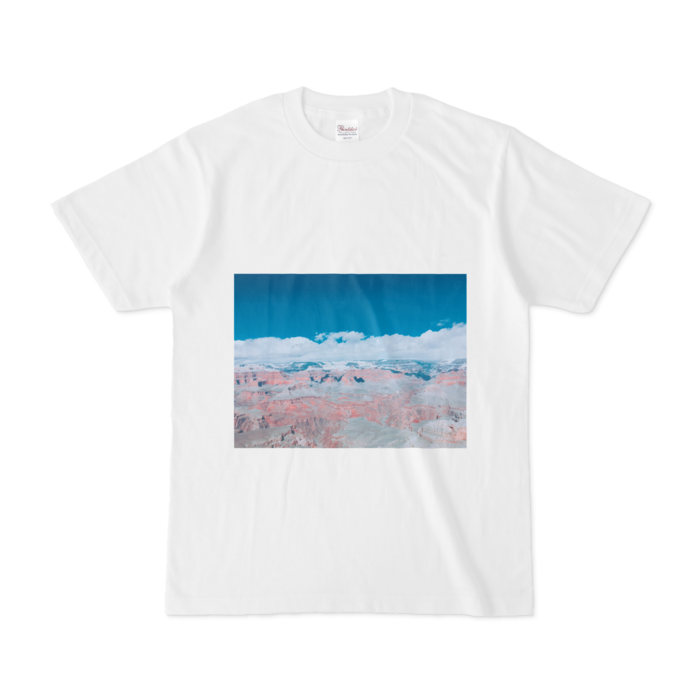 Tシャツ - S - 白