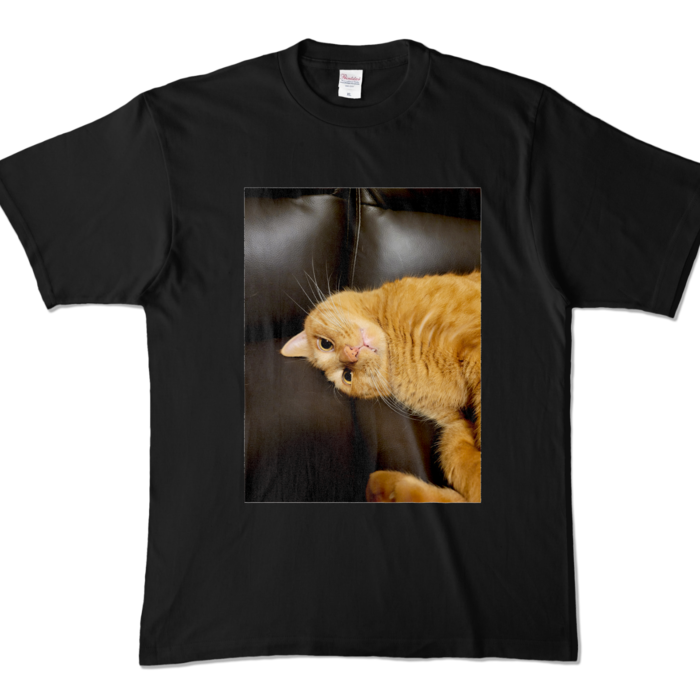 カラーTシャツ - XL - ブラック (濃色)