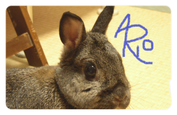 Icカードステッカー 蒼樹家のうさぎ 蒼樹創作本舗 Booth