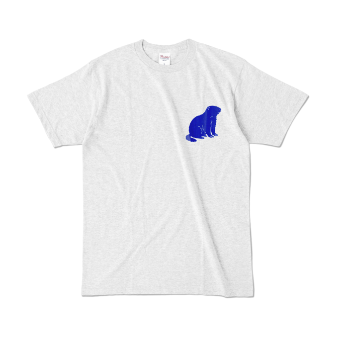 カラーTシャツ - L - アッシュ (淡色)