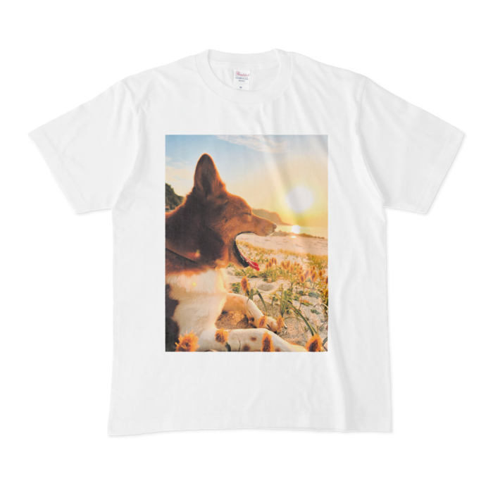 Tシャツ - M - 白