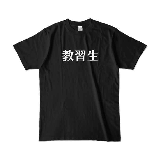 カラーTシャツ - L - ブラック (濃色)