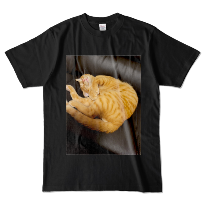 カラーTシャツ - L - ブラック (濃色)