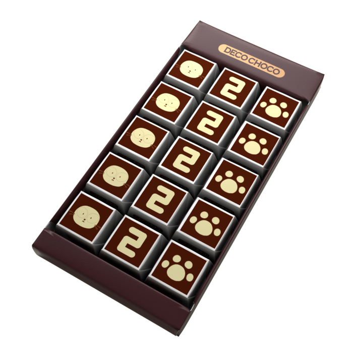 ニィみたいなチョコレート(15個入り)