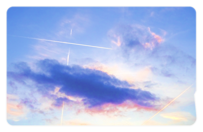 ICカードステッカー - 約85.7x53.9(mm)