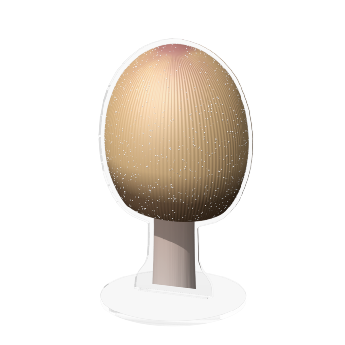 アクリルフィギュア - 160x160mm