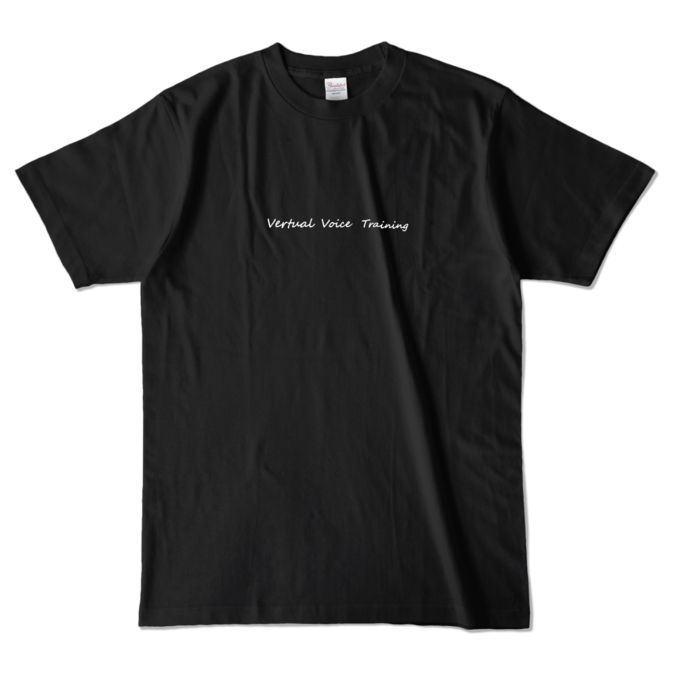 カラーTシャツ - L - ブラック (濃色)(2)