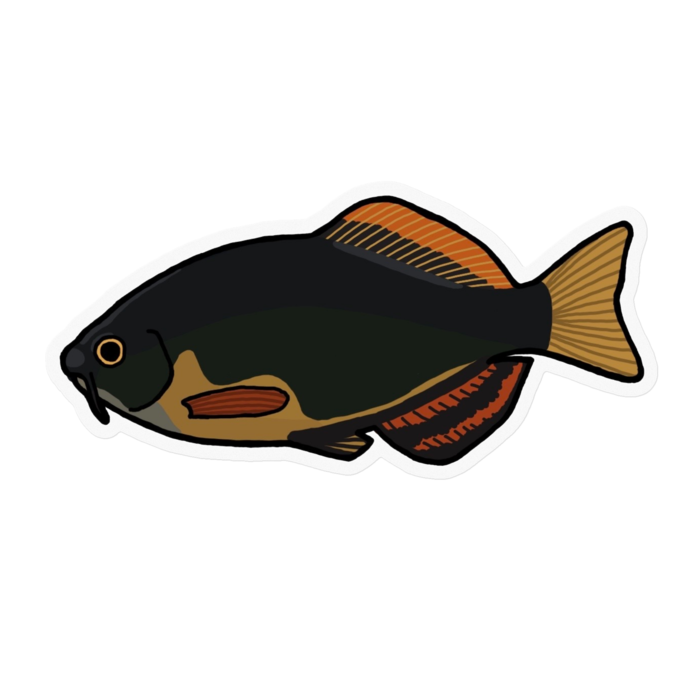 クリアステッカー - 100 x 100 (mm)