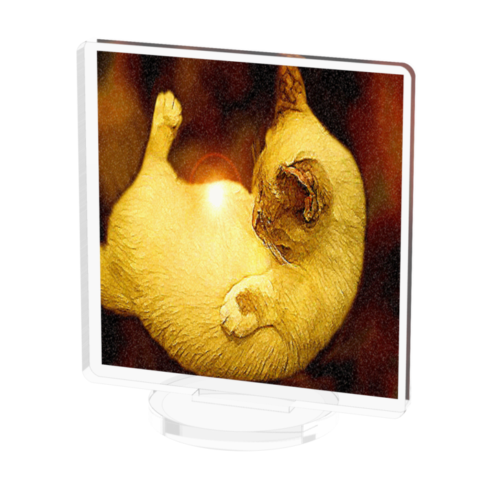 アクリルフィギュア - 50x50mm