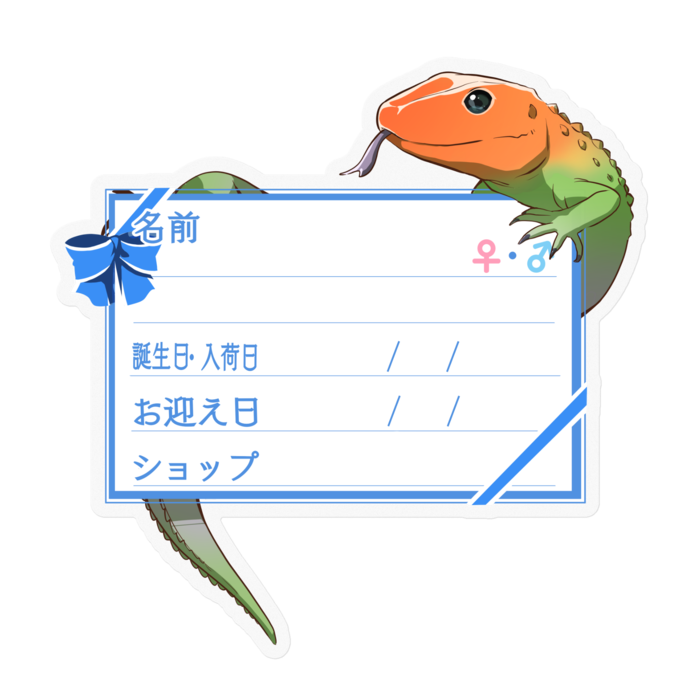 【🦎お名前ステッカー】カイマントカゲ-リボン／ブルー