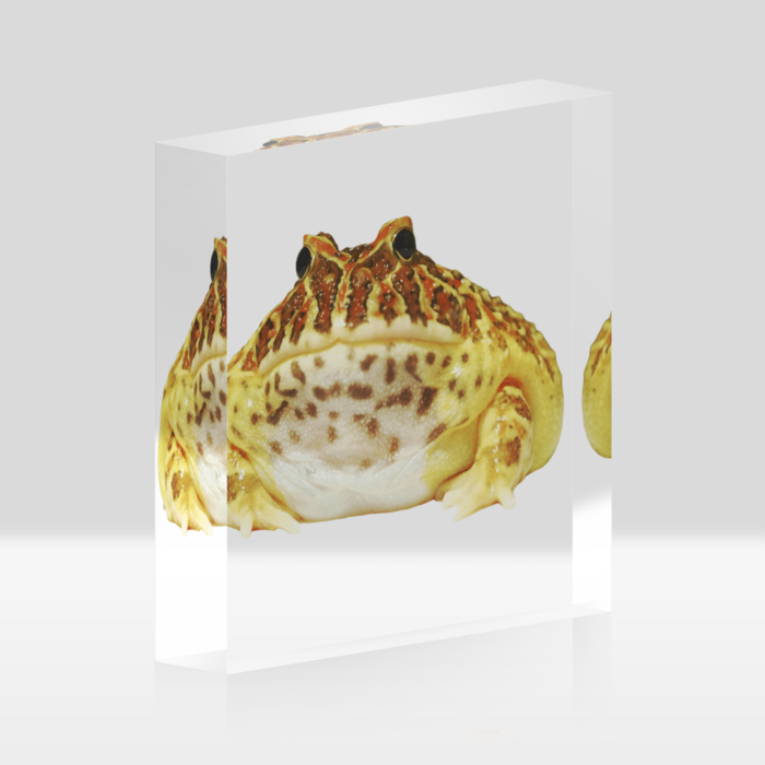 アクリルブロック - 100x100mm