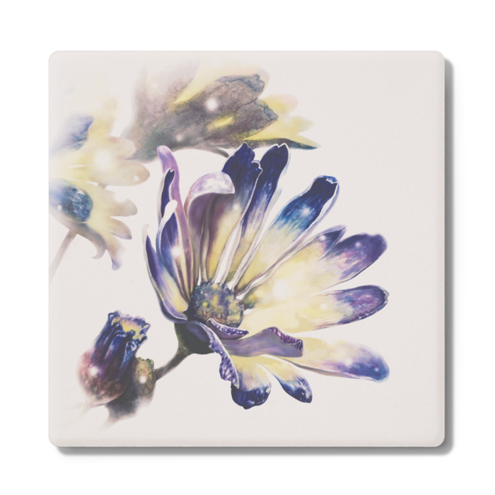 コースター「サイネリア」