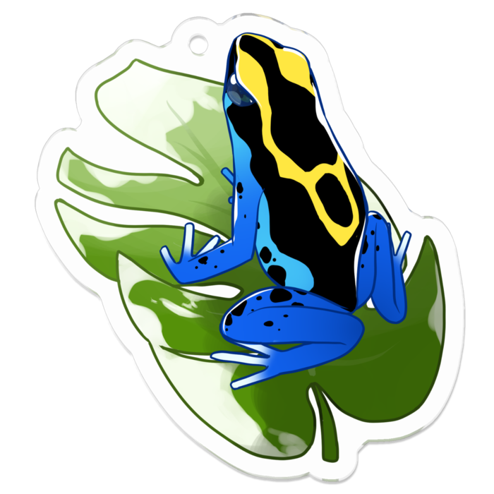 【ヤドクガエル🐸アクキー(Ｂ)】(アイゾメ) 5cm