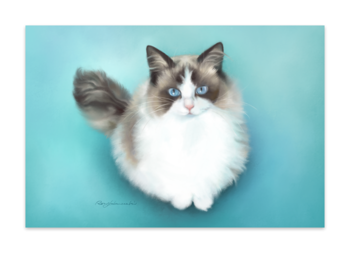 ポストカード(10枚セット) - マットコート220kg